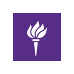 New York University